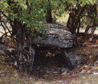 dolmen  1 small